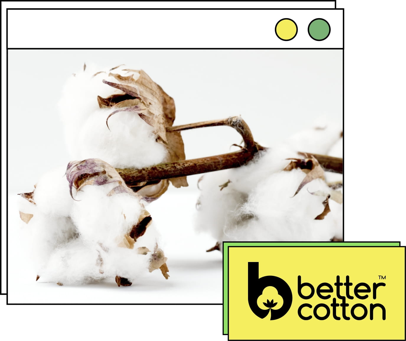 Better Cotton