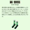 HappySocksハッピーソックスメンズ＆レディースプレゼント無料ラッピングギフトSwirlStripeSneakerSock渦巻＆ストライプ柄クルー丈スポーツソックス靴下10240107